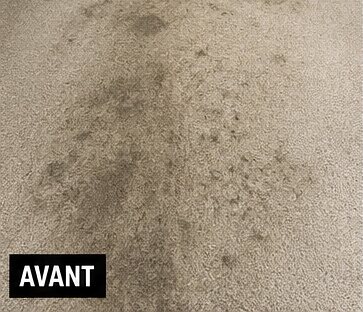 Moquette beige avant nettoyage — salissures de passage