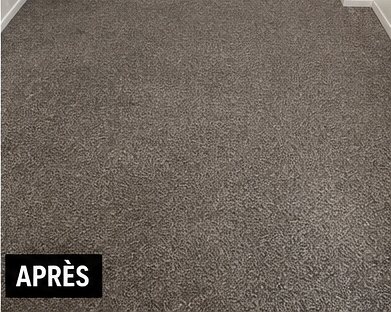 Moquette gris taupe après nettoyage par Clean Flash 74