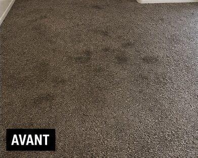 Moquette gris taupe avant nettoyage — zone très encrassée