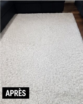 Tapis à poils longs après nettoyage par Clean Flash 74