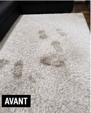Tapis à poils longs avant nettoyage — traces de passage marquées
